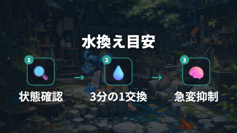 水換えと掃除の目安は季節と水の状態で変える