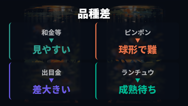 品種で変わる見分け方のコツは体型差の出やすさを見る