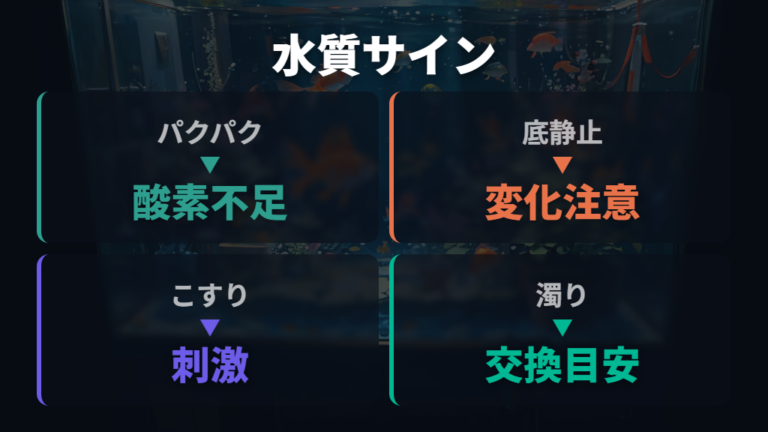 水質悪化が金魚に与える影響をサインで比べる