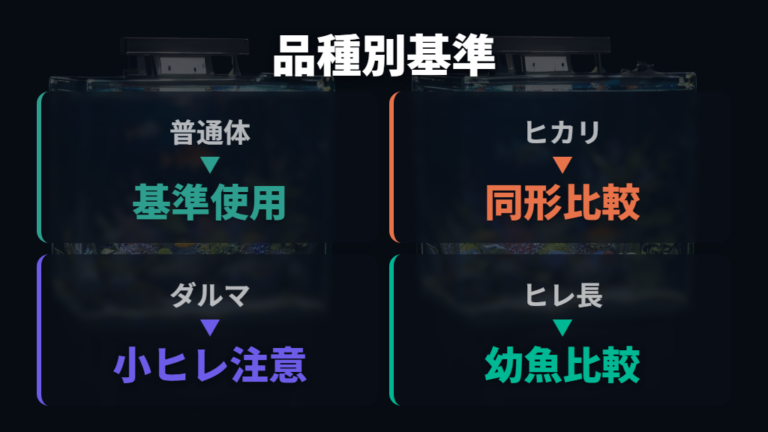 品種差で迷うときの見方は普通体型を基準に応用する