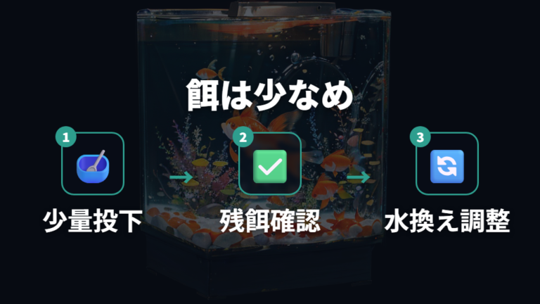 長生きさせる餌と水換えのコツは少なめから始めること