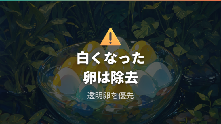 白くなった卵とカビ対策は早めの除去が要点