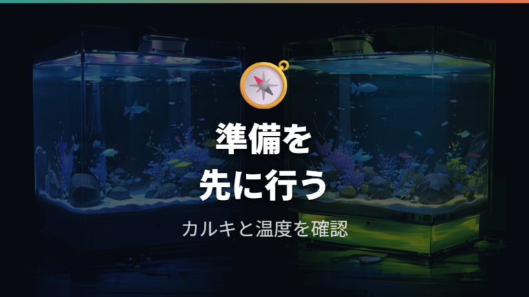 カルキ抜きと温度合わせを省くと水換え後の不調につながる
