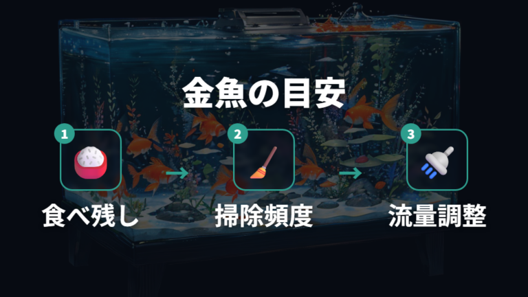 金魚水槽で使うときの注意はろ過能力を過信しない