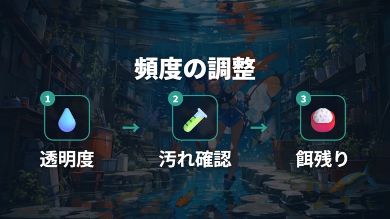 水換え掃除と餌やりの頻度は環境の安定度で変える