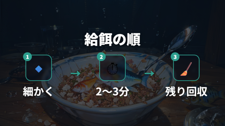 代用餌を与える量と頻度は少量から試す