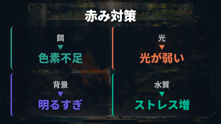 赤色が抜ける飼育条件は餌と光と背景に分けて考える