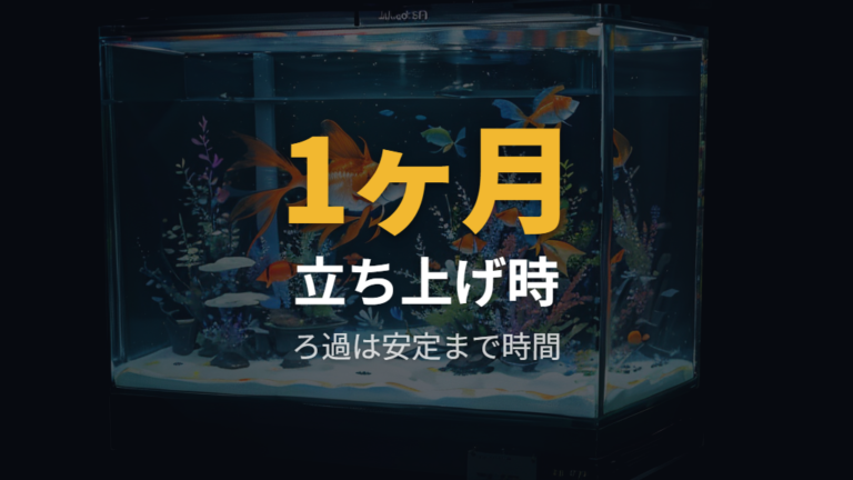水質悪化で弱った場合はアンモニアと亜硝酸を疑う