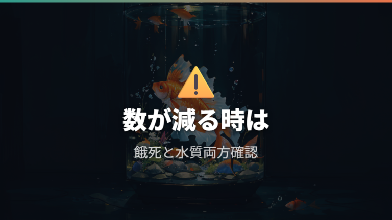 稚魚が死にやすい時期の注意点は餓死と水質変化