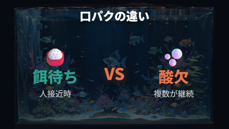 酸欠と口パクの見分け方は餌くれとの違いを見る