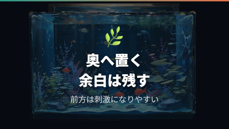 ストレスを減らす置き方は奥の静かな場所と泳ぐ余白が基本
