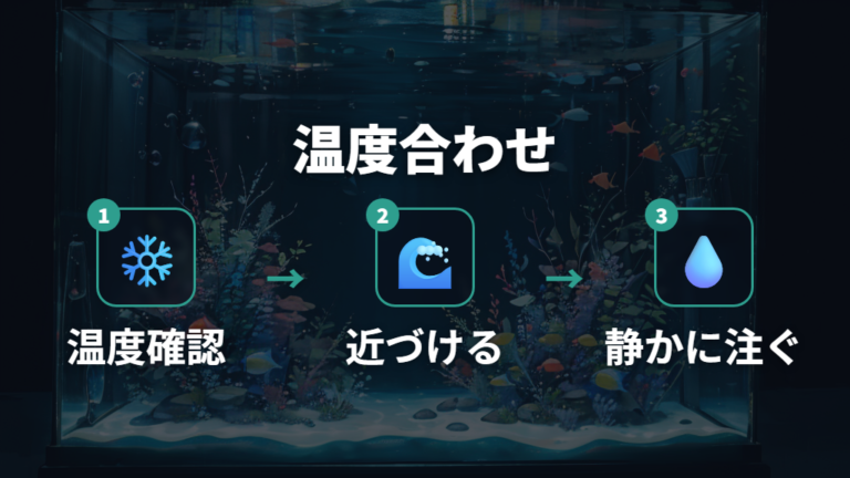 水換え時の温度合わせは水質変化とセットで考える
