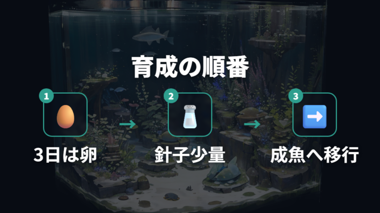 成長段階別のエサやりを手順で整理する