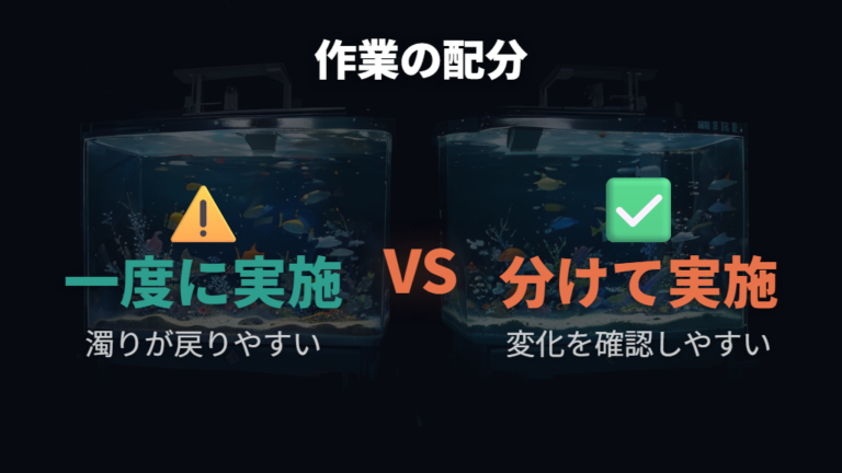 水換え後に白濁りする原因はやりすぎ掃除にもある