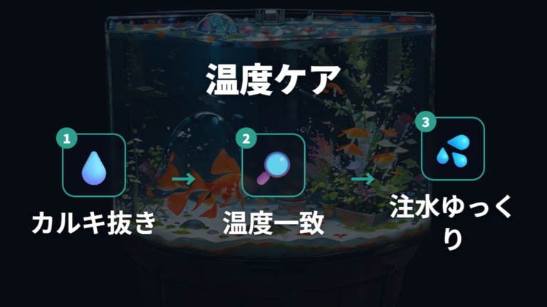 カルキ抜きと温度合わせの注意点は水換えショック対策の中心