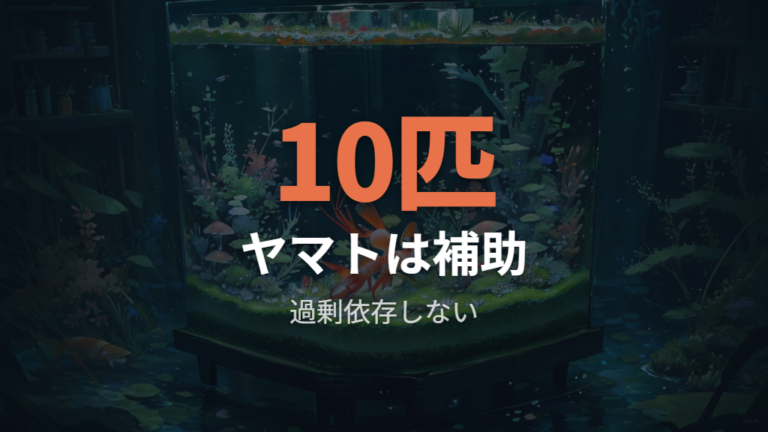 ヤマトヌマエビの掃除効果は柔らかいコケに強い