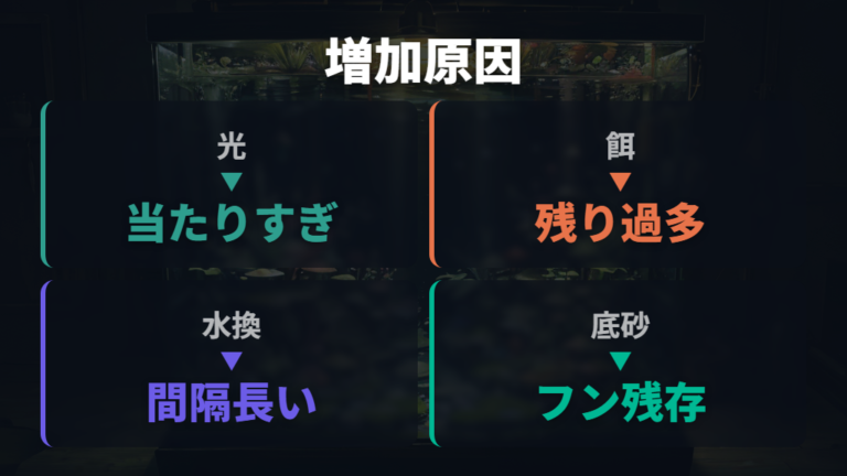 コケが増えすぎる原因は光と栄養の余りにある