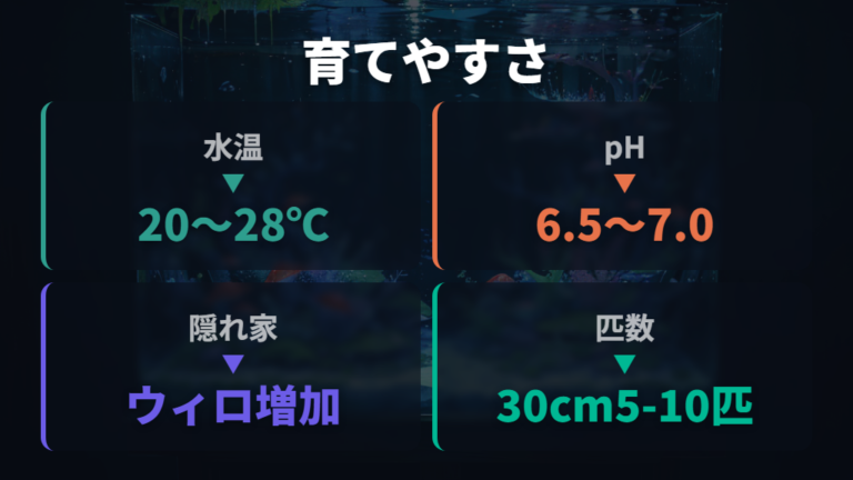 繁殖しやすい混泳環境の作り方を整える