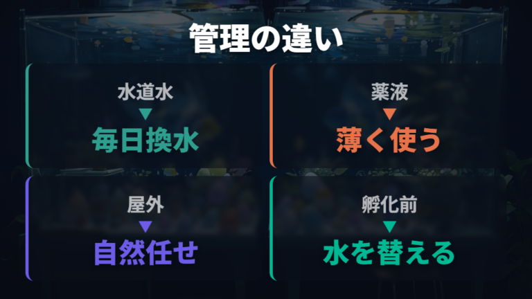 メチレンブルーと水道水管理の違いを比べる