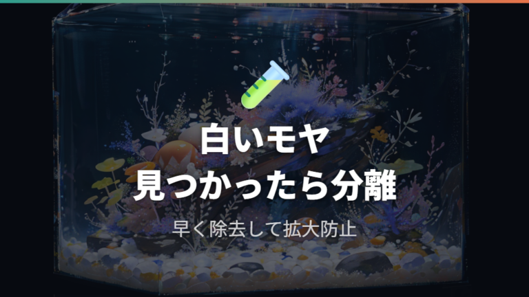 カビた卵の対処法は早めに取り除くこと