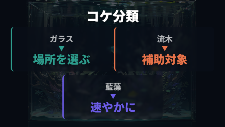 コケ掃除をメダカ入りで行うコツは落とす場所と種類を見分けること