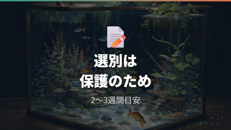 選別と親魚合流のタイミングは弱い個体を守る視点で考える