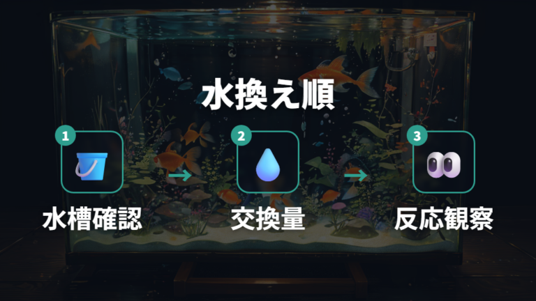 フナっぽく見せない飼い方は水換えから整える