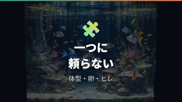 体型とヒレで見分けるコツは一つの特徴だけで決めない