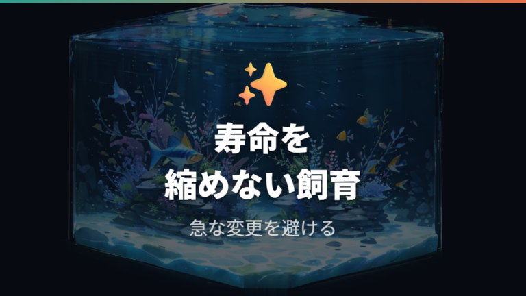 メダカ寿命を縮めないために導入と環境急変を避ける