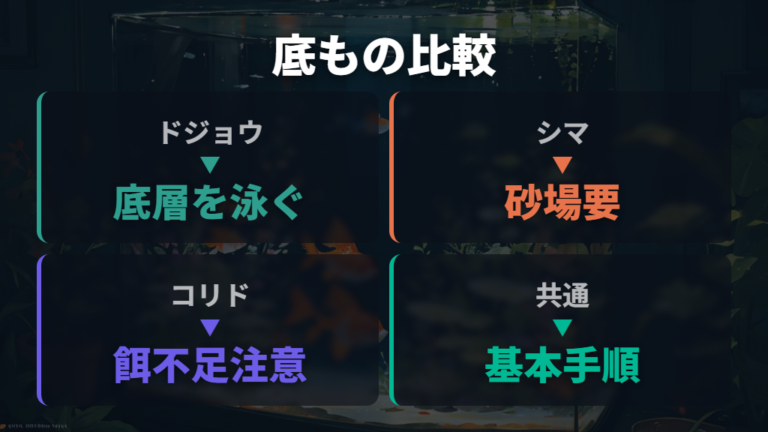 底もの魚と金魚の相性はドジョウとコリドラスで違う