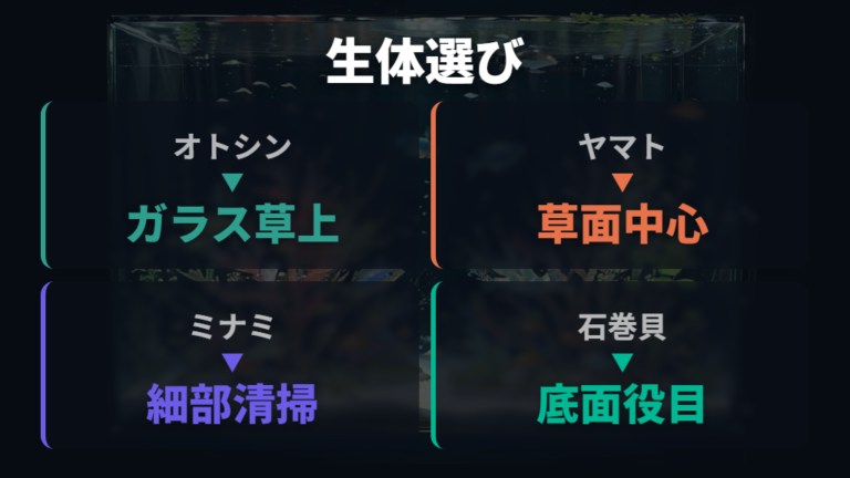茶ゴケを食べる生体は得意な場所で選ぶ