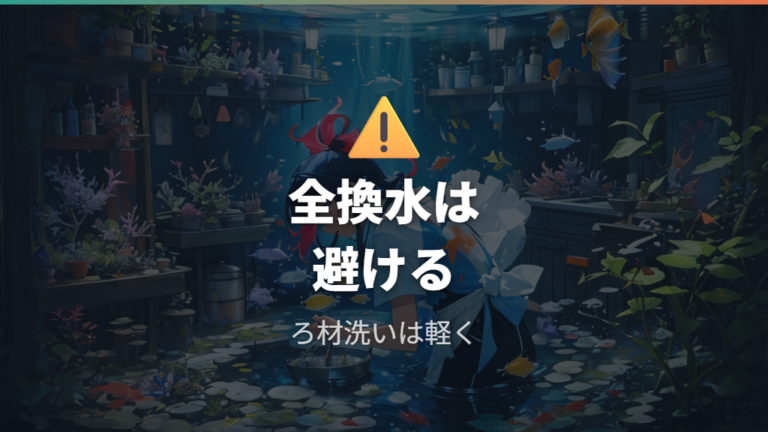 安全な取り除き方で避けたい全換水とろ材の洗いすぎ