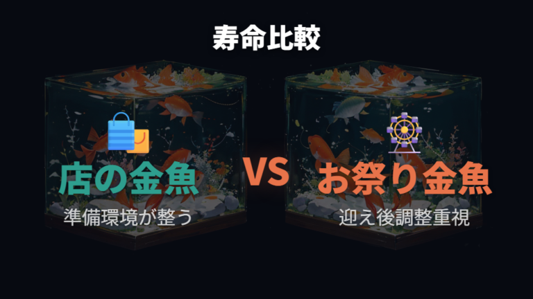 金魚すくいと店の金魚の違いは寿命よりスタート環境