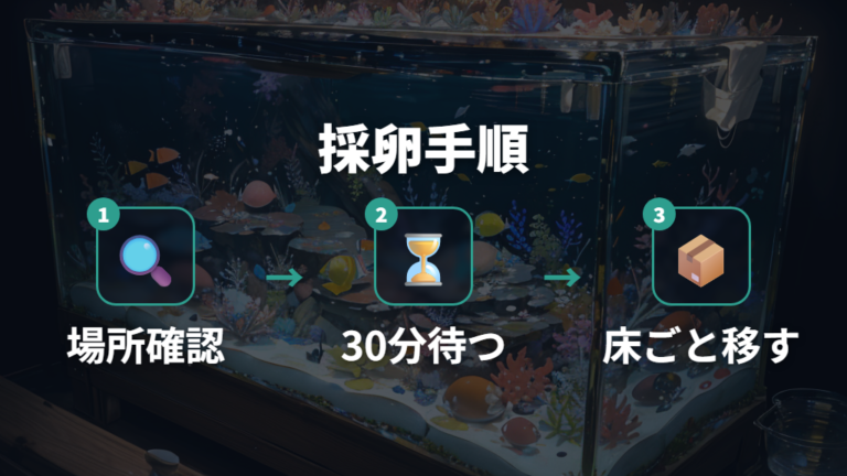 採卵するタイミングと方法は産卵床ごと移すと扱いやすい