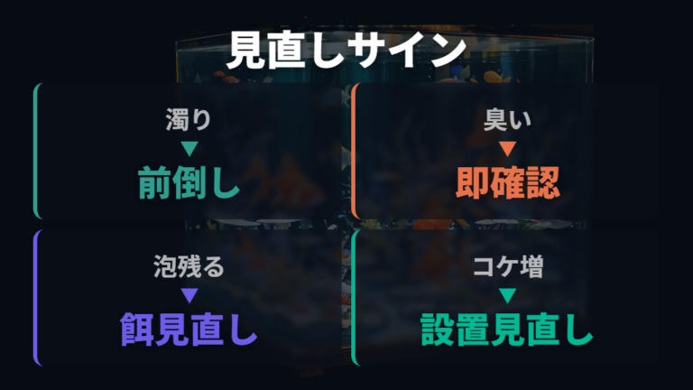 水換え頻度を見直すサインは水と金魚の様子で判断する