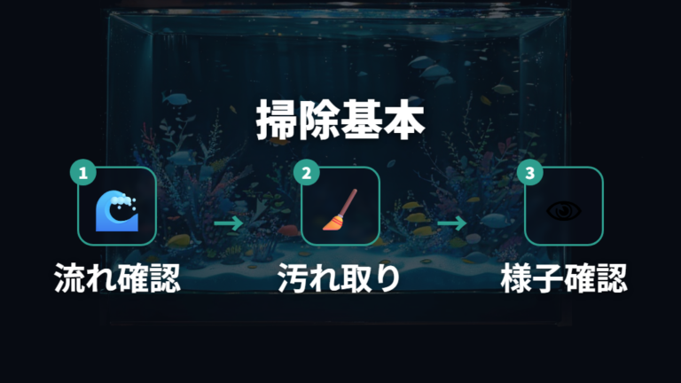 稚魚を育てる基本の世話は弱水流とこまめな掃除