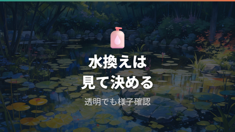 水換え不要と言われるのは本当かを整理する