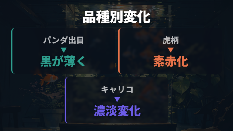 成長による退色の仕組みを品種別の変化で見る