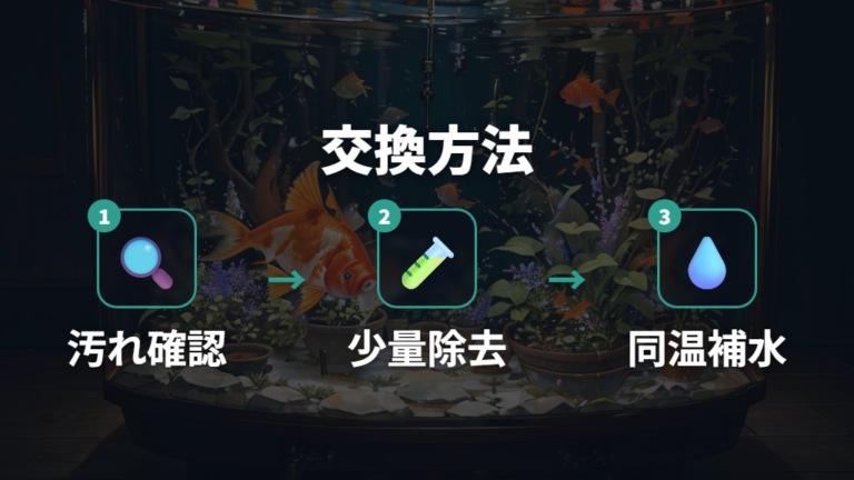 水換えと掃除のやり方はスポイトで少しずつ進める