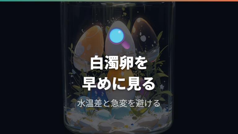 隔離した卵の水カビ対策は白濁卵の除去と水管理を続ける