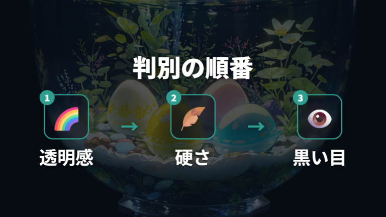有精卵と無精卵の見分け方は色・硬さ・眼点で判断する