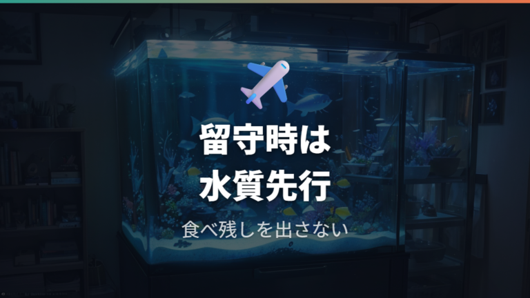 旅行中のエサやり対策は水質悪化を避ける