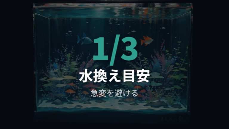 水換え量は1/3を目安に急変を避ける