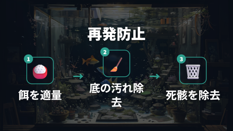 餌のやりすぎと掃除不足の予防で有機物を増やさない
