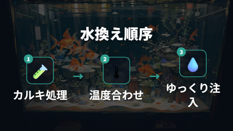 水換えではカルキ抜きと水質急変への注意をセットで考える