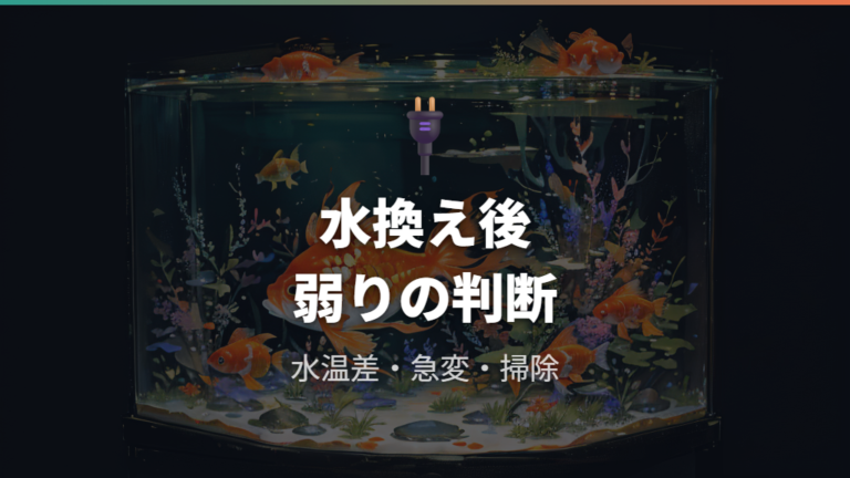 水換え後に弱る原因は水温差・水質変化・掃除のやりすぎ