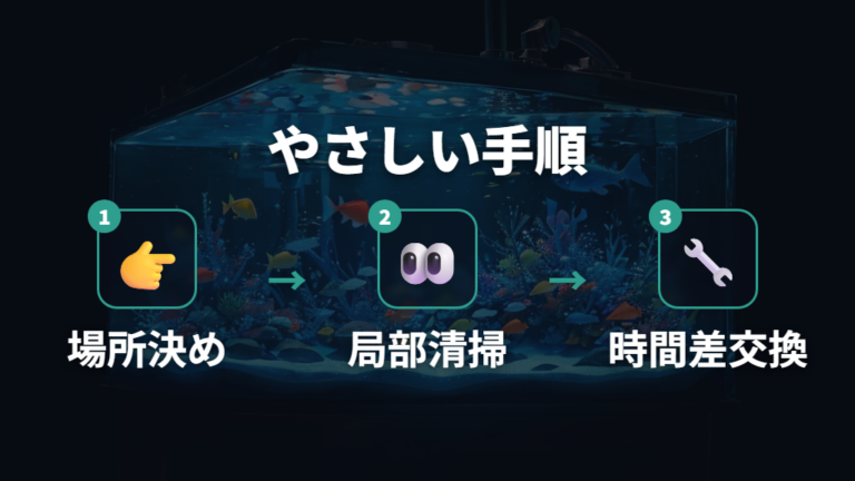 メダカに優しいコケ掃除の方法は水換えと物理除去を分けて進める