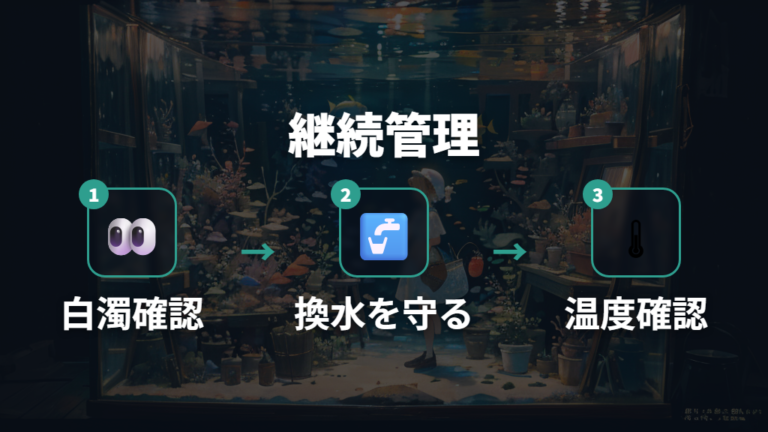 孵化までの水温チェックと観察ポイント