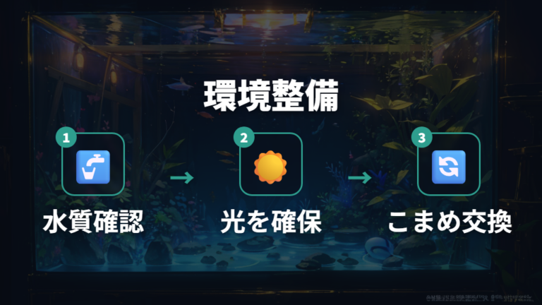 透明卵の発生過程を守る水質と置き場所