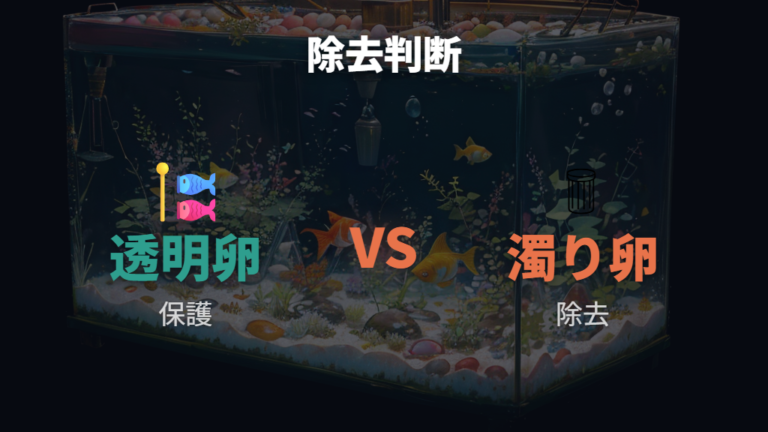白い卵とカビた卵の見分け方で除去する卵を決める